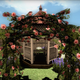 Illustration for article titled More On Shiki-Tei, The PS3 Gardening Game